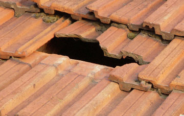 roof repair Habberley
